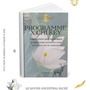 Programme X Chi KeY le parfum des notes de l’âme: Méditation fin de cycle 6