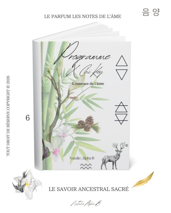 MédiTaTions X CHI KEY MédiTaTion