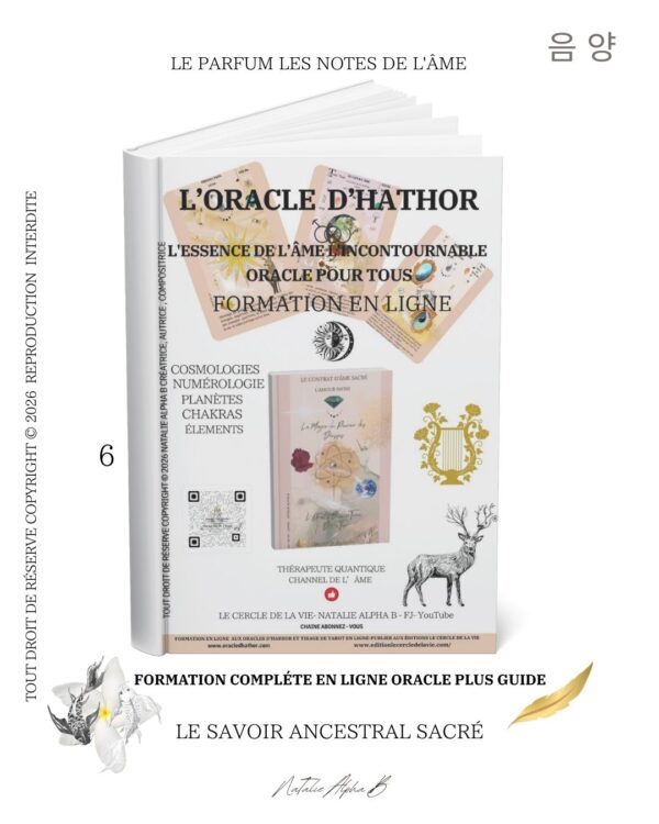 Coffret complet avec formation Oracle d'HaThor par NaTalie Alpha B