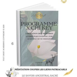 Programme X Chi KeY le parfum des notes de l’âme: Méditation couper les cycles 1