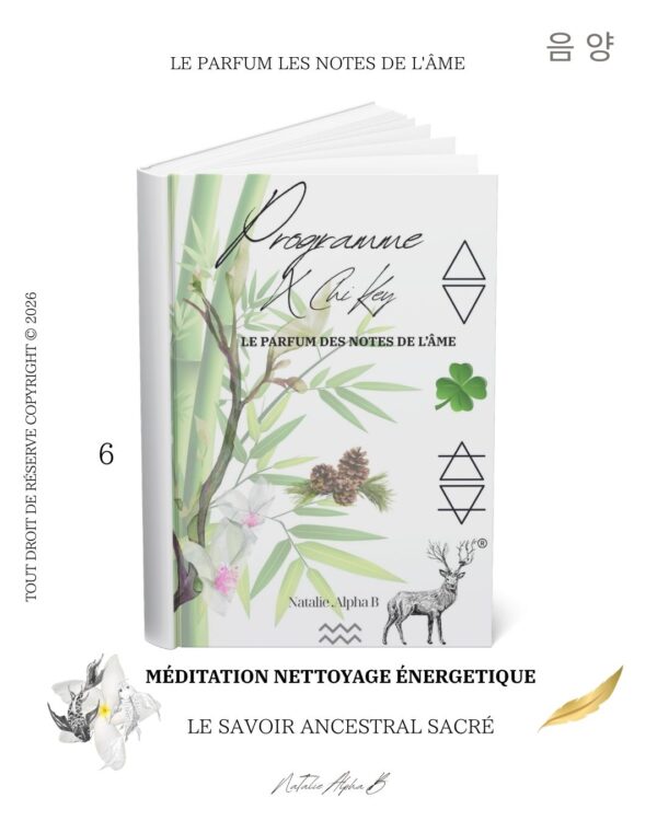 Medidation énergétique