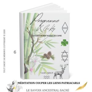 Méditation couper les liens