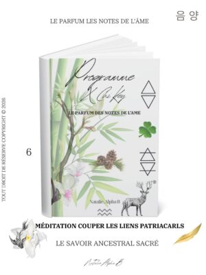 Méditation couper les liens