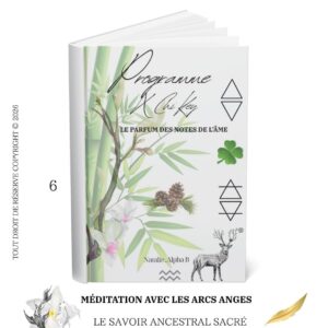 MediTaTion avec les Arcs Anges