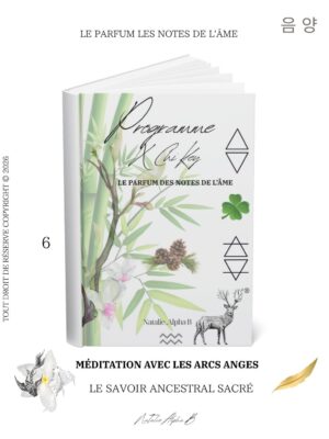 MediTaTion avec les Arcs Anges