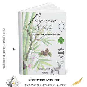 Méditation énergetique