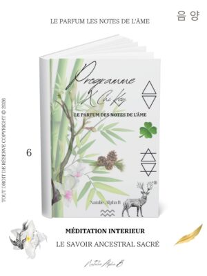 Méditation énergetique