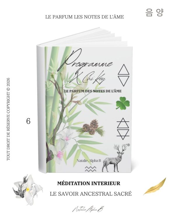 Méditation énergetique