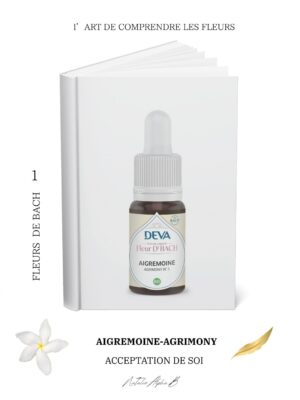 L"Alchimie du vivant