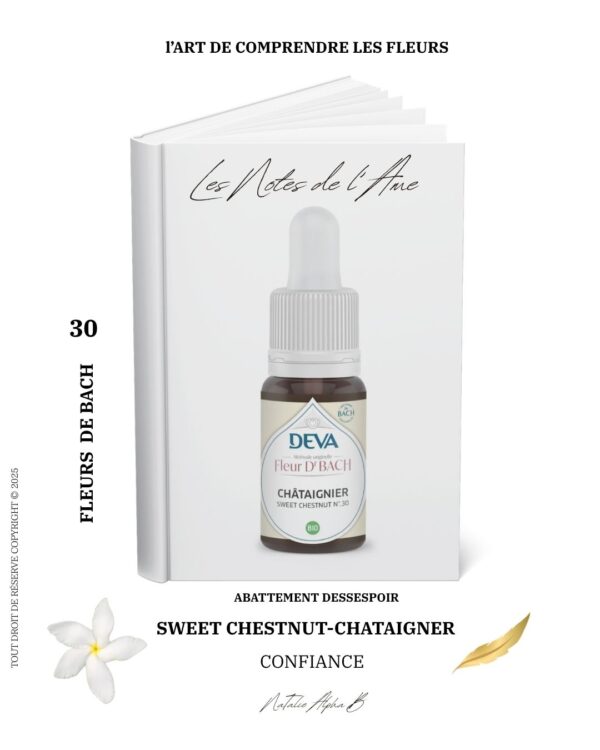 Chataigner 30 Alchimie du vivant