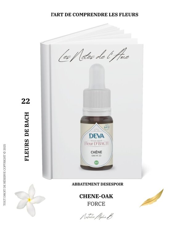 Chêne 22 L'alchimie du vivant