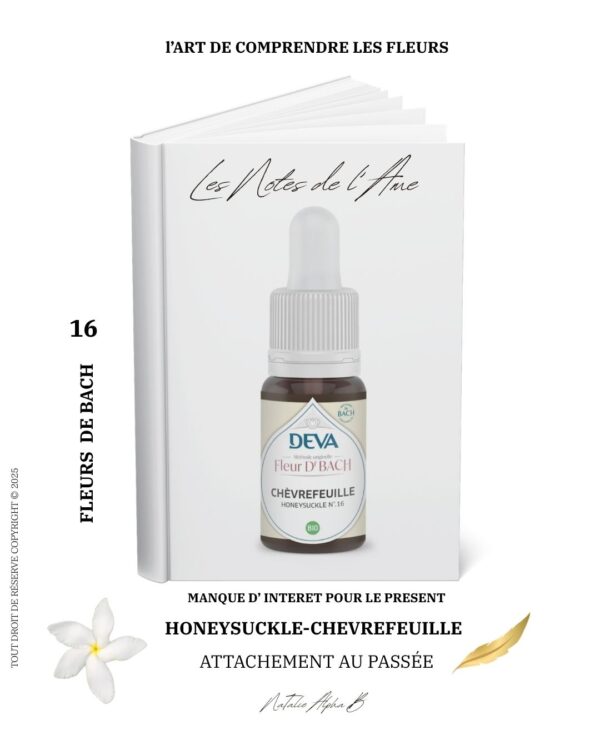 L'alchimie du vivant