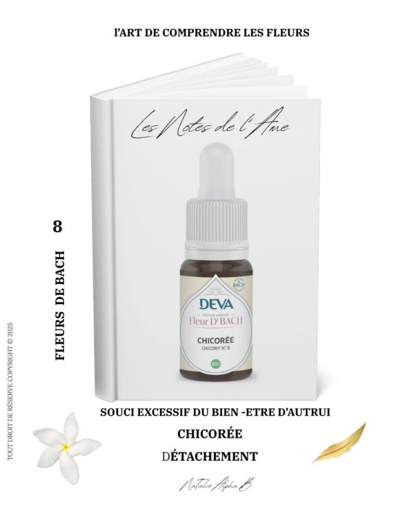 Chicory 8 L'alchimie du vivant