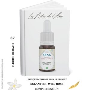 L' alchimie di vivanT