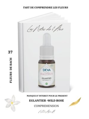 L' alchimie di vivanT