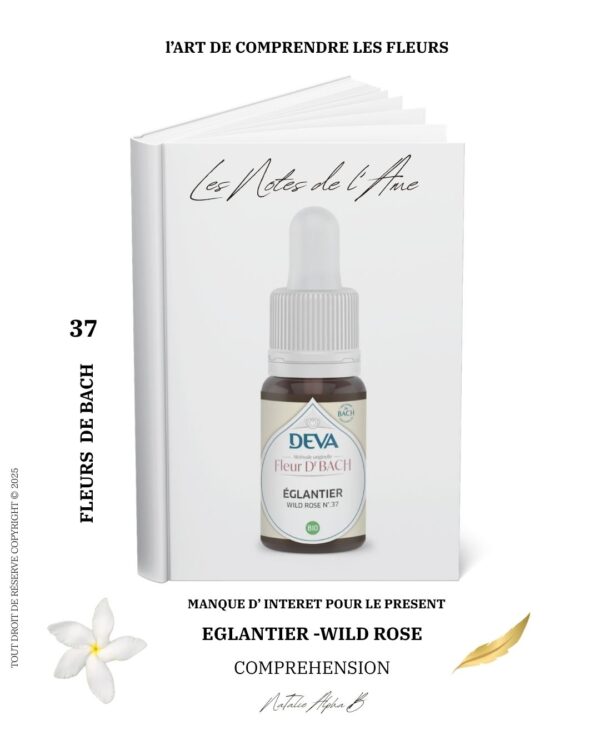 L' alchimie di vivanT