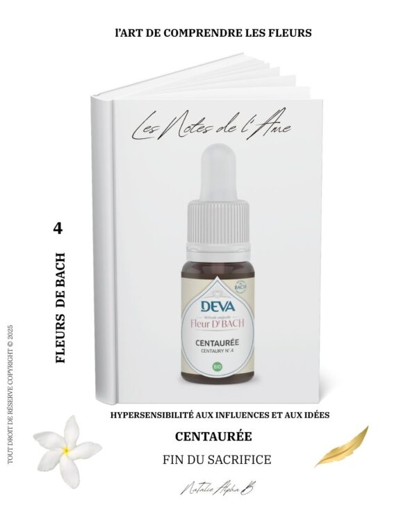 Fleur centaury 4 L'alchi,ie du vivant NaTalie Alpha B