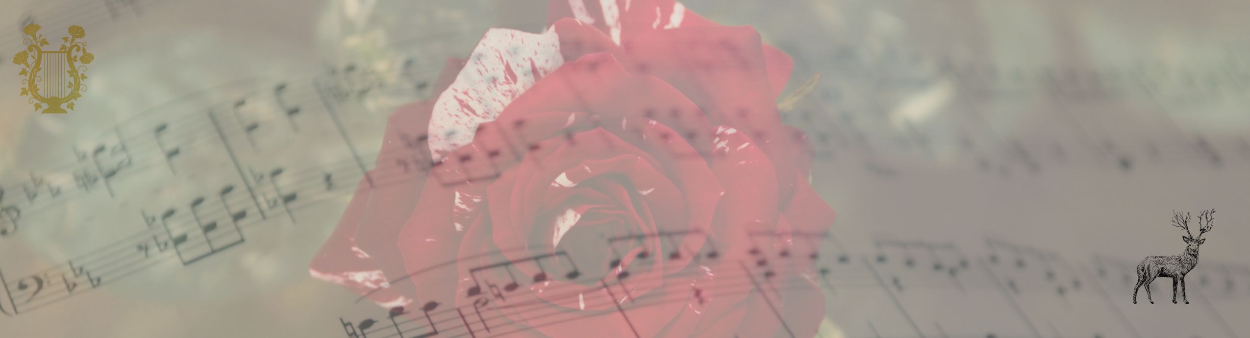 Térapeute Kantique annales akashiques libération des mémoires spécialisée en Burn-Out Natalie Alpha B