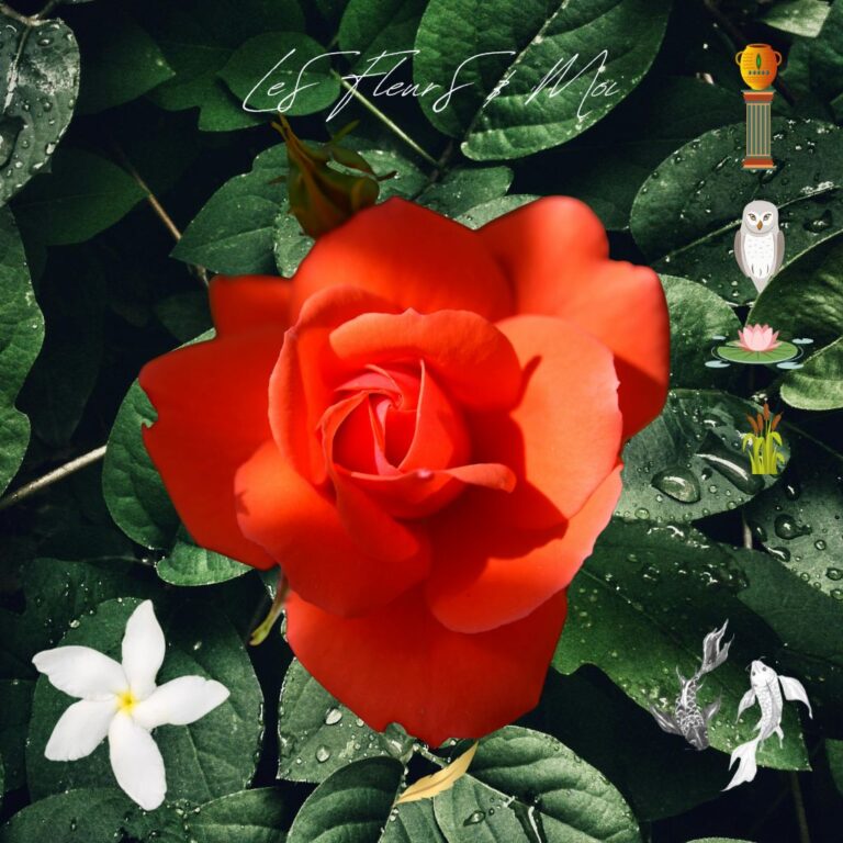 Thérapeute Kantique annales akashiques libération des mémoires spécialisée en Burn-Out Natalie Alpha B