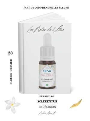 Thérapeute Kantique des annales akashiques KA libération des mémoires spécialisée en Burn-Out Natalie Alpha B alchimie de l'amour