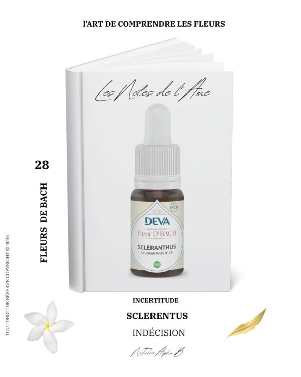 Thérapeute Kantique des annales akashiques KA libération des mémoires spécialisée en Burn-Out Natalie Alpha B alchimie de l'amour