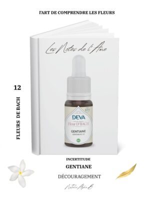 Thérapeute Kantique des annales akashiques KA libération des mémoires spécialisée en Burn-Out Natalie Alpha B alchimie de l'amour