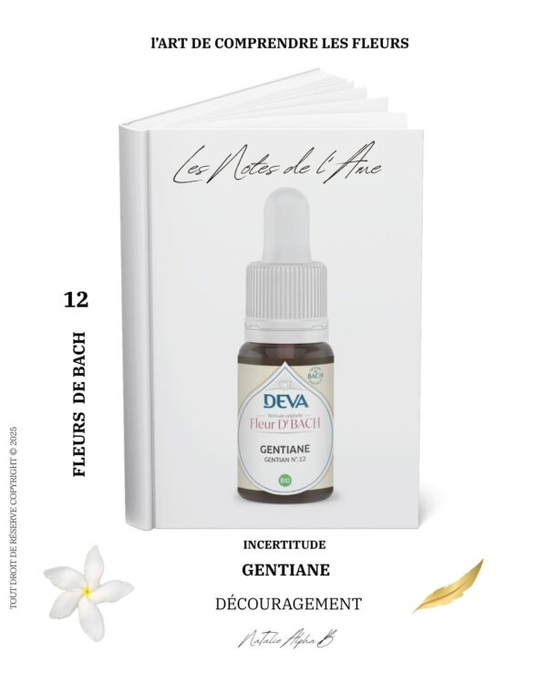 Thérapeute Kantique des annales akashiques KA libération des mémoires spécialisée en Burn-Out Natalie Alpha B alchimie de l'amour