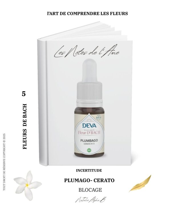 Thérapeute Kantique annales akashiques libération des mémoires spécialisée en Burn-Out système émotionnel Natalie Alpha B