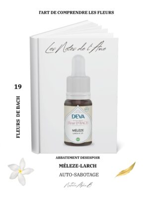 Thérapeute Kantique des annales akashiques KA libération des mémoires spécialisée en Burn-Out Natalie Alpha B alchimie de l'amour