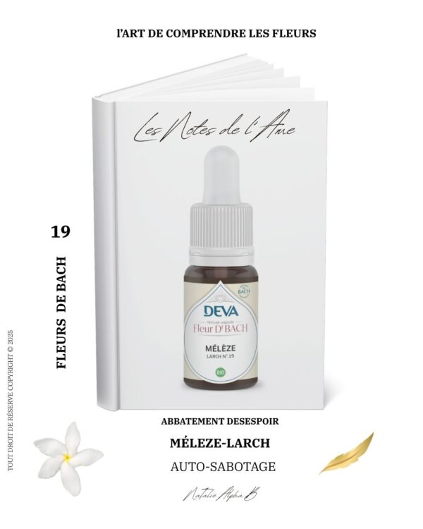 Thérapeute Kantique des annales akashiques KA libération des mémoires spécialisée en Burn-Out Natalie Alpha B alchimie de l'amour