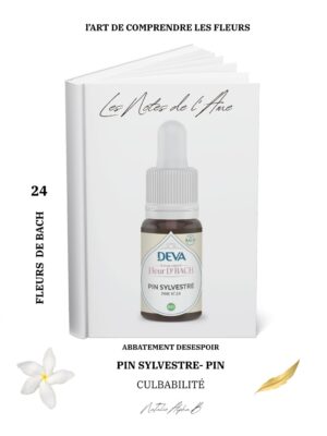 hérapeute Kantique des annales akashiques KA libération des mémoires spécialisée en Burn-Out Natalie Alpha B alchimie de l'amour