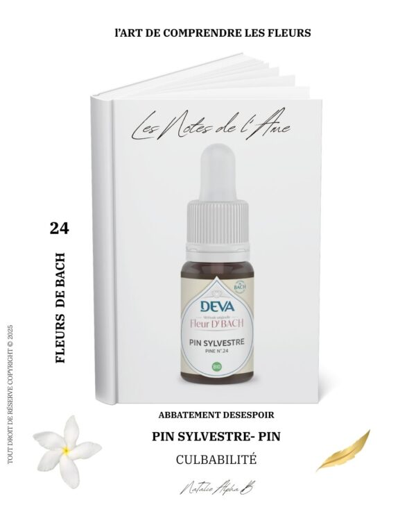 Natalie Alpha B et les Fleurs de Bach hérapeute Kantique des annales akashiques KA libération des mémoires spécialisée en Burn-Out Natalie Alpha B alchimie de l'amour