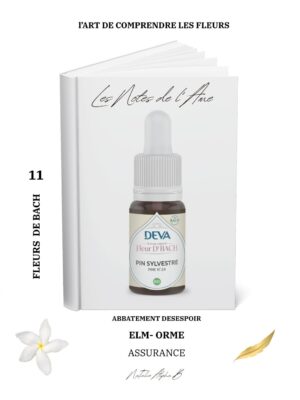 Thérapeute Kantique des annales akashiques KA libération des mémoires spécialisée en Burn-Out Natalie Alpha B alchimie de l'amour