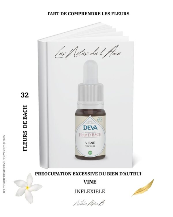 Thérapeute Kantique annales akashiques libération des mémoires spécialisée en Burn-Out système émotionnel Natalie Alpha B