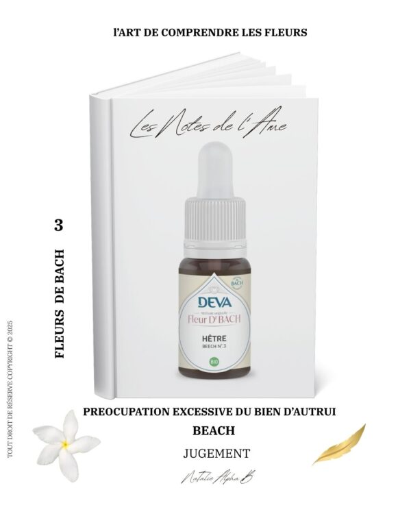 Thérapeute Kantique annales akashiques libération des mémoires spécialisée en Burn-Out Natalie Alpha B