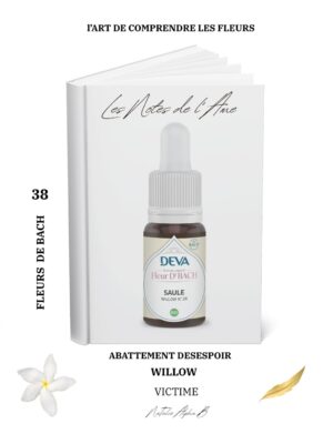 Medium Kanal de l"âme NaTalie alpha B experte dans le couple des flammes jumelles