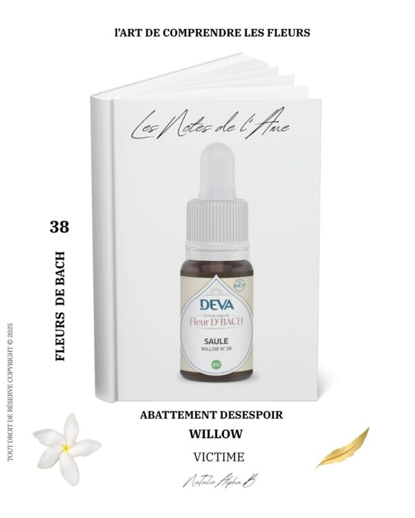 Medium Kanal de l"âme NaTalie alpha B experte dans le couple des flammes jumelles