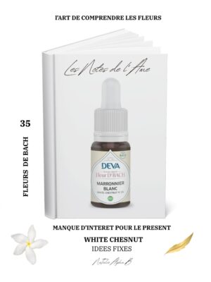Thérapeute Kantique annales akashiques libération des mémoires spécialisée en Burn-Out Natalie Alpha