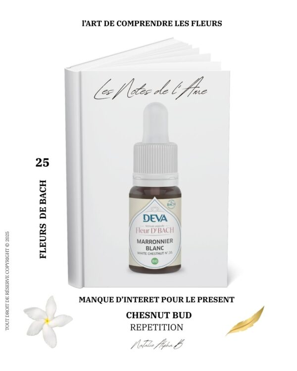 Natalie Alpha B et les Fleurs de Bach Natalie Alpha B spécialisée dans le système émotionnel avec les Élixir floraux, dépositaire laboratoire Deva fleurs de Bach
